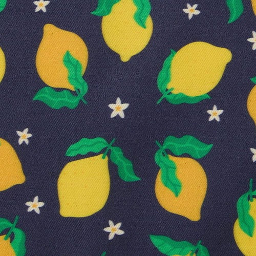 Garden Lemons Apron - Essential